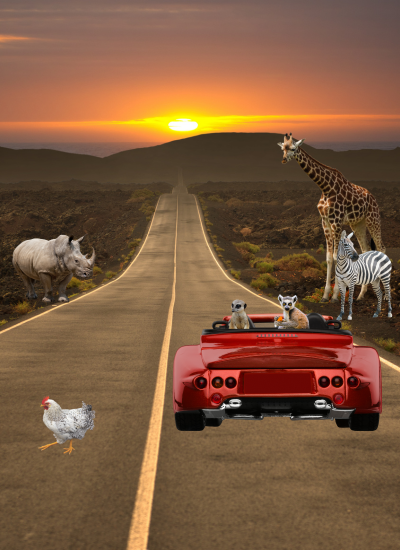 The Road to Excellent IT